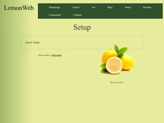 temp website/setup screenshot