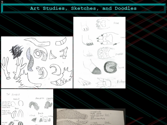 Studies screenshot