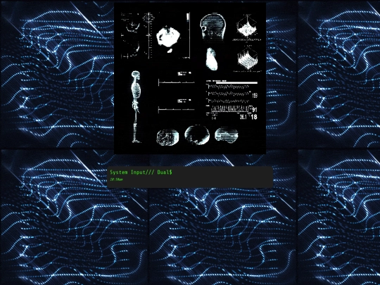 option2_1 screenshot