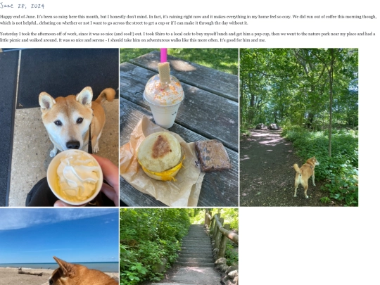 blog/entries/2024/june/6-28-24 screenshot