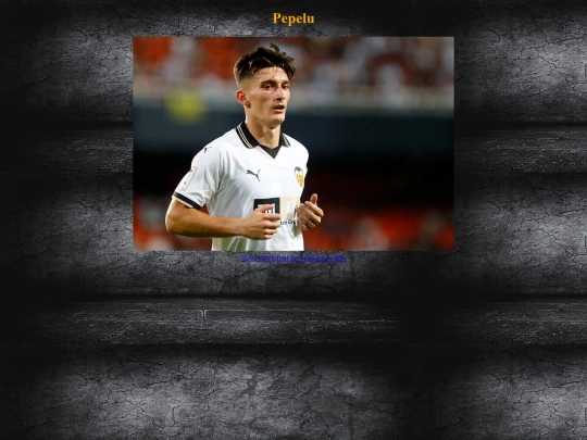 pepelu screenshot