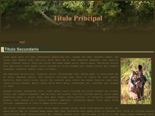 Ejercicio 4-B screenshot