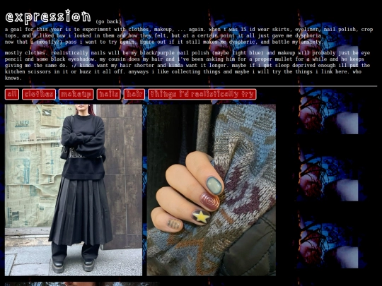 blog/expression screenshot