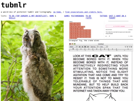 tubmlr screenshot