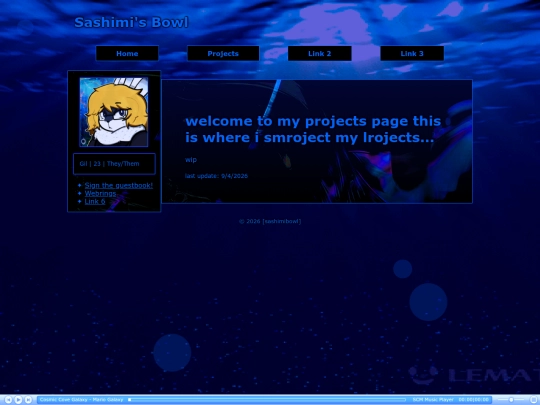 projects screenshot