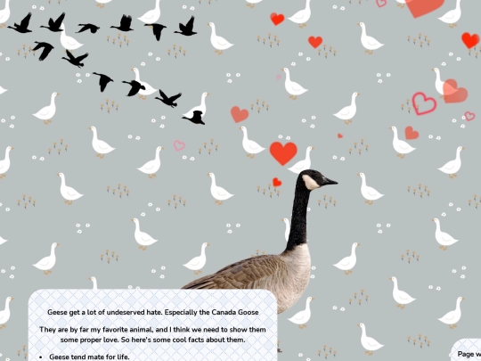 gooseshrine screenshot