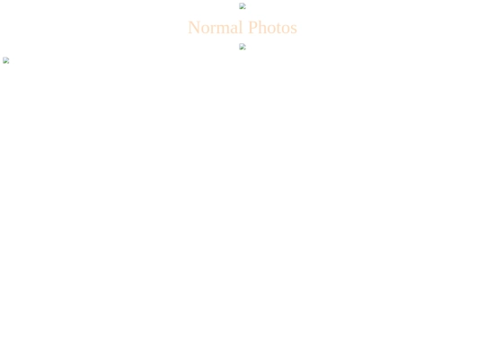 old_shit/photos screenshot