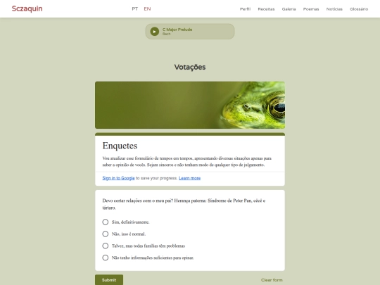 enquetes/enquetes screenshot