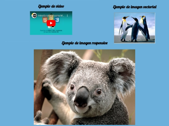 Modulo2/Tema3ResponsiveJavihl1983 screenshot