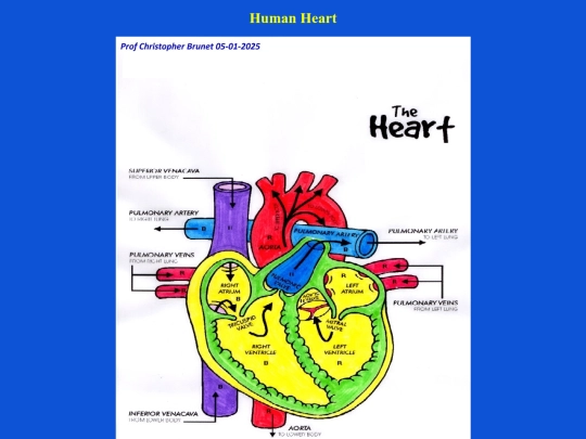physiology screenshot