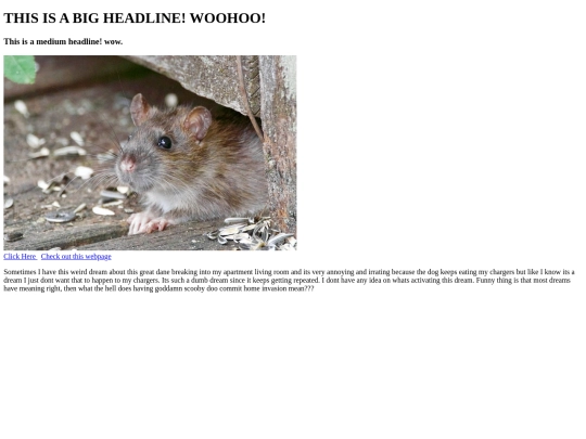daytwo screenshot