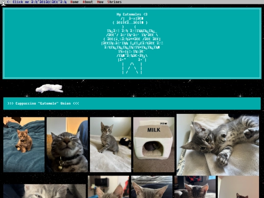 shrines/cats screenshot