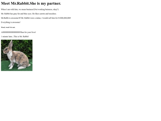 mr_rabbit screenshot