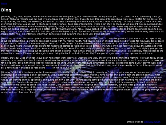 blog screenshot