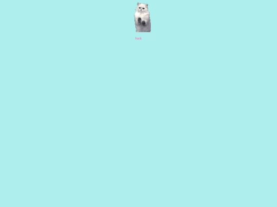 meow screenshot