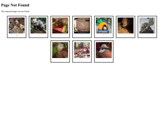 not_found screenshot
