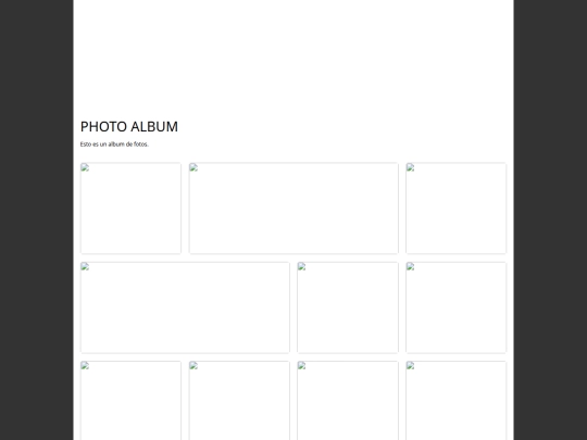 photo-album-test screenshot