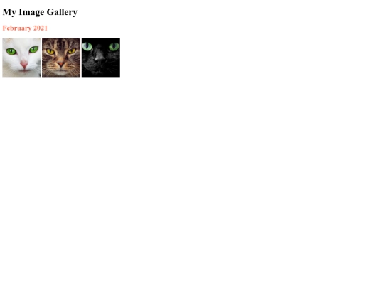 image gallery screenshot