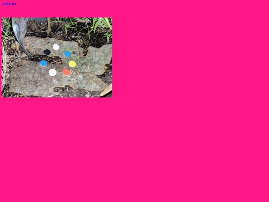 play324 screenshot