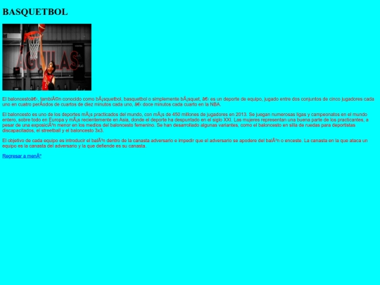 BASQUETBOL screenshot