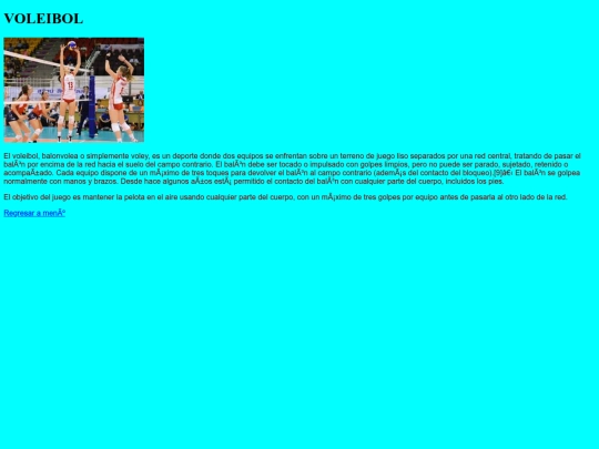 VOLEIBOL screenshot