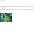 cottagewhore avatar