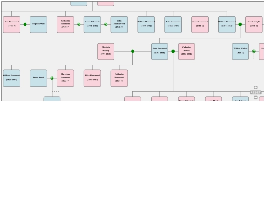 Blogger/TreeHammond3 screenshot