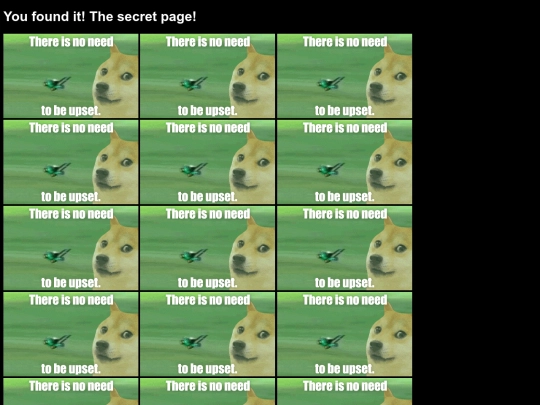 secret screenshot