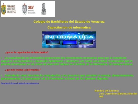 Pagina de informatica screenshot
