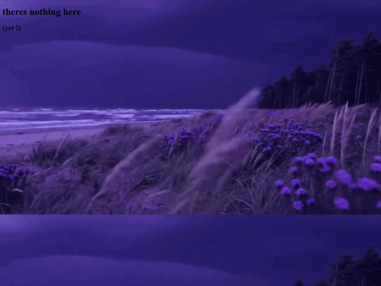 blog/blog screenshot