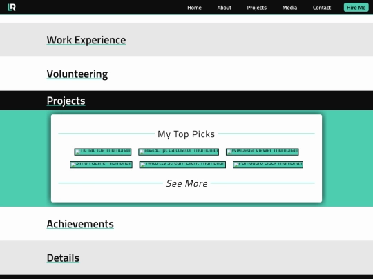 Websitem/resume screenshot