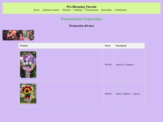 promociones screenshot