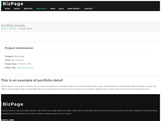 portfolio-details screenshot