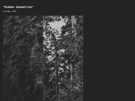 hidden screenshot