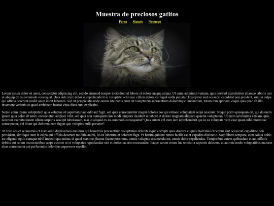 examen11/idex3 screenshot