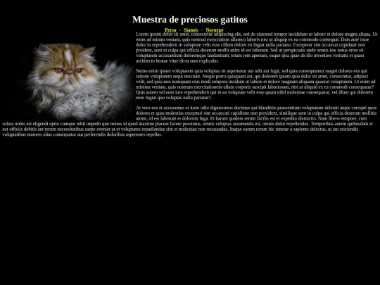 examen11 screenshot