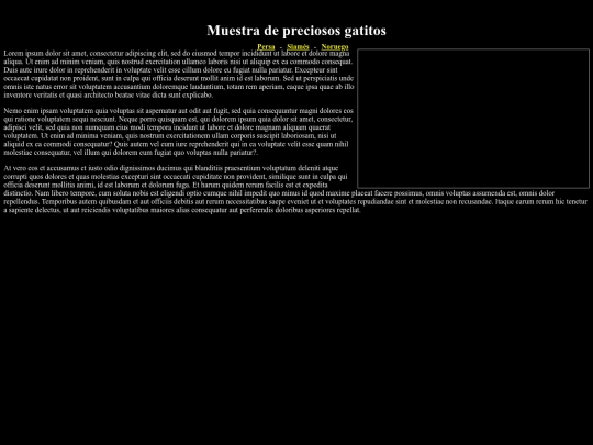examen11/index2 screenshot