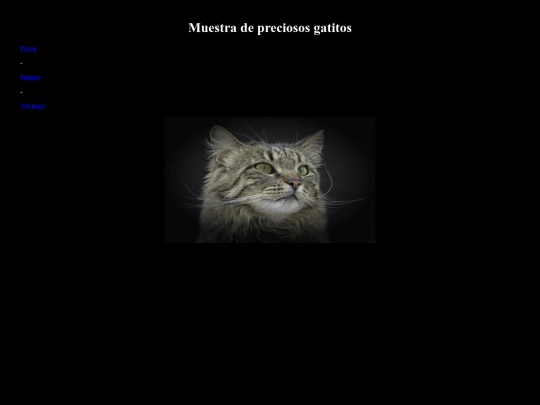 ppluis screenshot