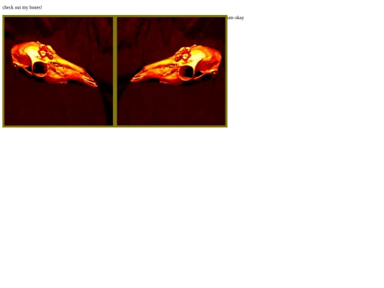 Twinskull screenshot