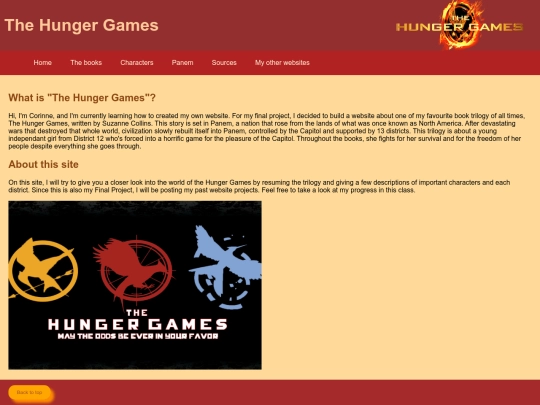 project screenshot