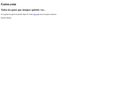 Estudio screenshot