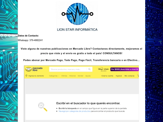 lionstarinformatica screenshot