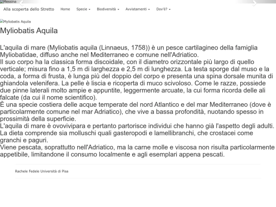11 screenshot