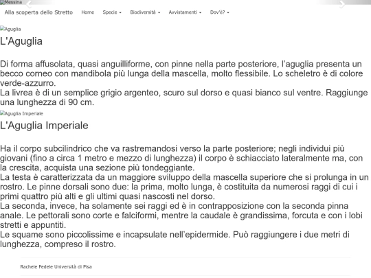 Aguglia screenshot