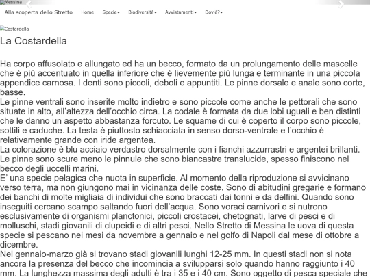 Costardella screenshot