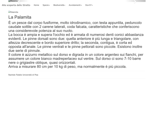 Palamita screenshot
