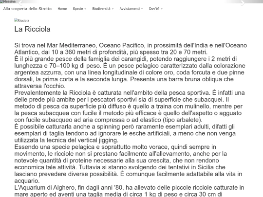 Ricciola screenshot