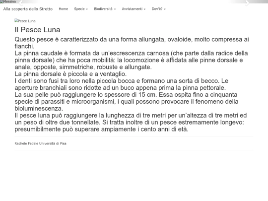 pesceluna screenshot