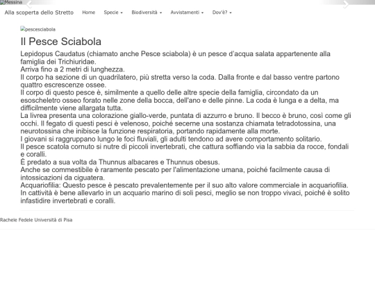 pescesciabola screenshot
