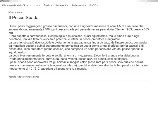 pescespada screenshot